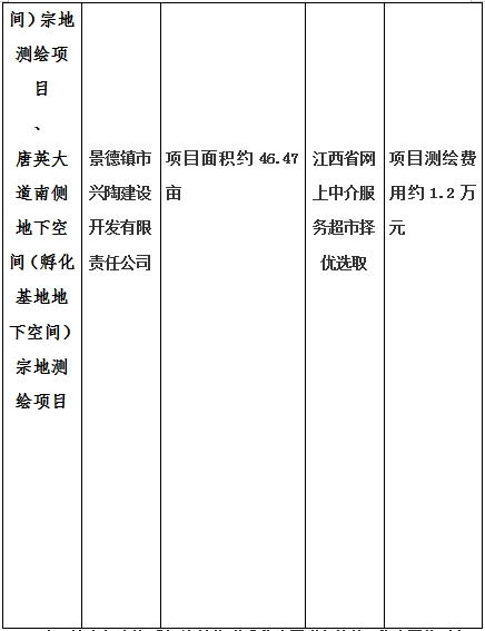 景德鎮(zhèn)市昌南新區(qū)LJ1-03-A01-1地塊、瓷都大道東側(cè)中渡口地下空間（格蘭云天大酒店地下空間）、光明大道北側(cè)利民路西側(cè)地下空間（青少年宮地下空間）、規(guī)劃二路北側(cè)地下空間地塊二（加速基地地下空間）、規(guī)劃二路北側(cè)地下空間地塊一（加速基地地下空間）、景德大道南側(cè)天寶橋西側(cè)地塊、景興大道東側(cè)如意路北側(cè)地下空間(社會(huì)公共服務(wù)