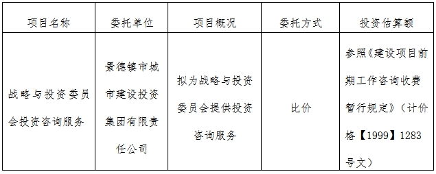 戰(zhàn)略與投資委員會投資咨詢服務(wù)計(jì)劃公告　