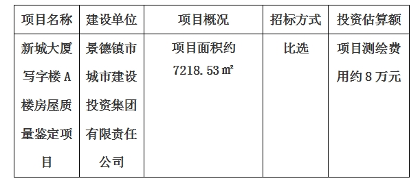 新城大廈寫(xiě)字樓A樓房屋質(zhì)量鑒定項(xiàng)目計(jì)劃公告